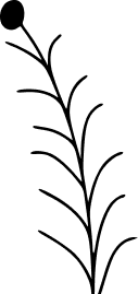 leaf-icon